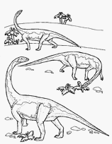 coloriage famille diplodocus